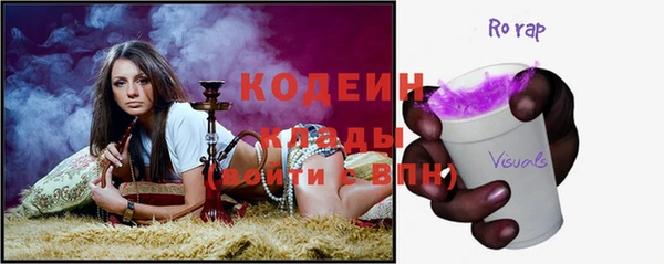 шишки Вяземский