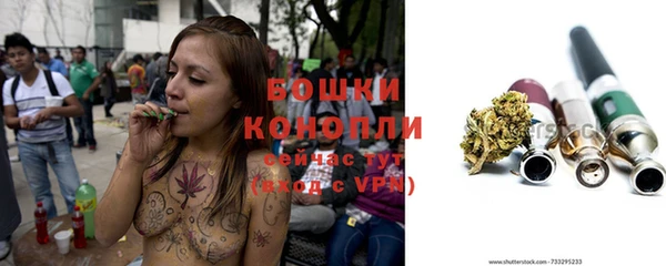 шишки Вяземский