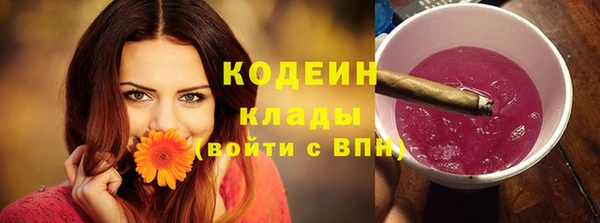 шишки Вяземский