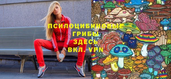 не бодяженный Горно-Алтайск