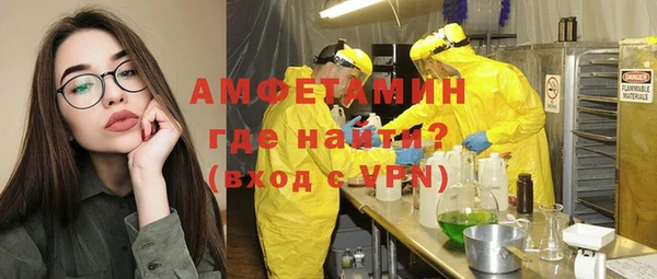 шишки Вяземский