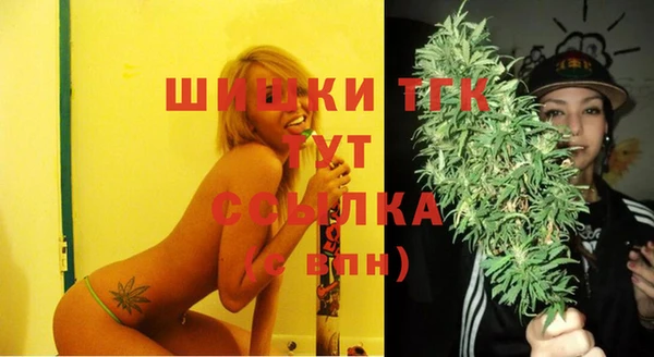 шишки Вяземский