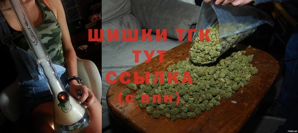 шишки Вяземский